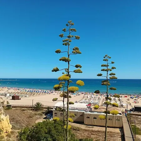 Luxury 1 Min With Sea View, Wifi, Ac, Smarttv Apartment *
